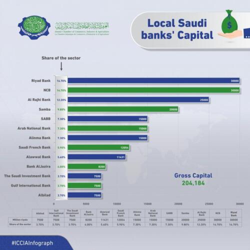 Infograph-22-4-اصحاب-رؤوس-أموال-EN-01-scaled